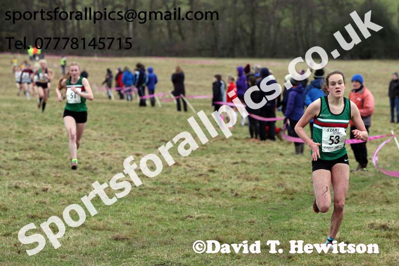 Junior womens 2018 Northern Cross Country Champs., Harewood House, Leeds. Photo: David T. Hewitson/Sports for All Pics